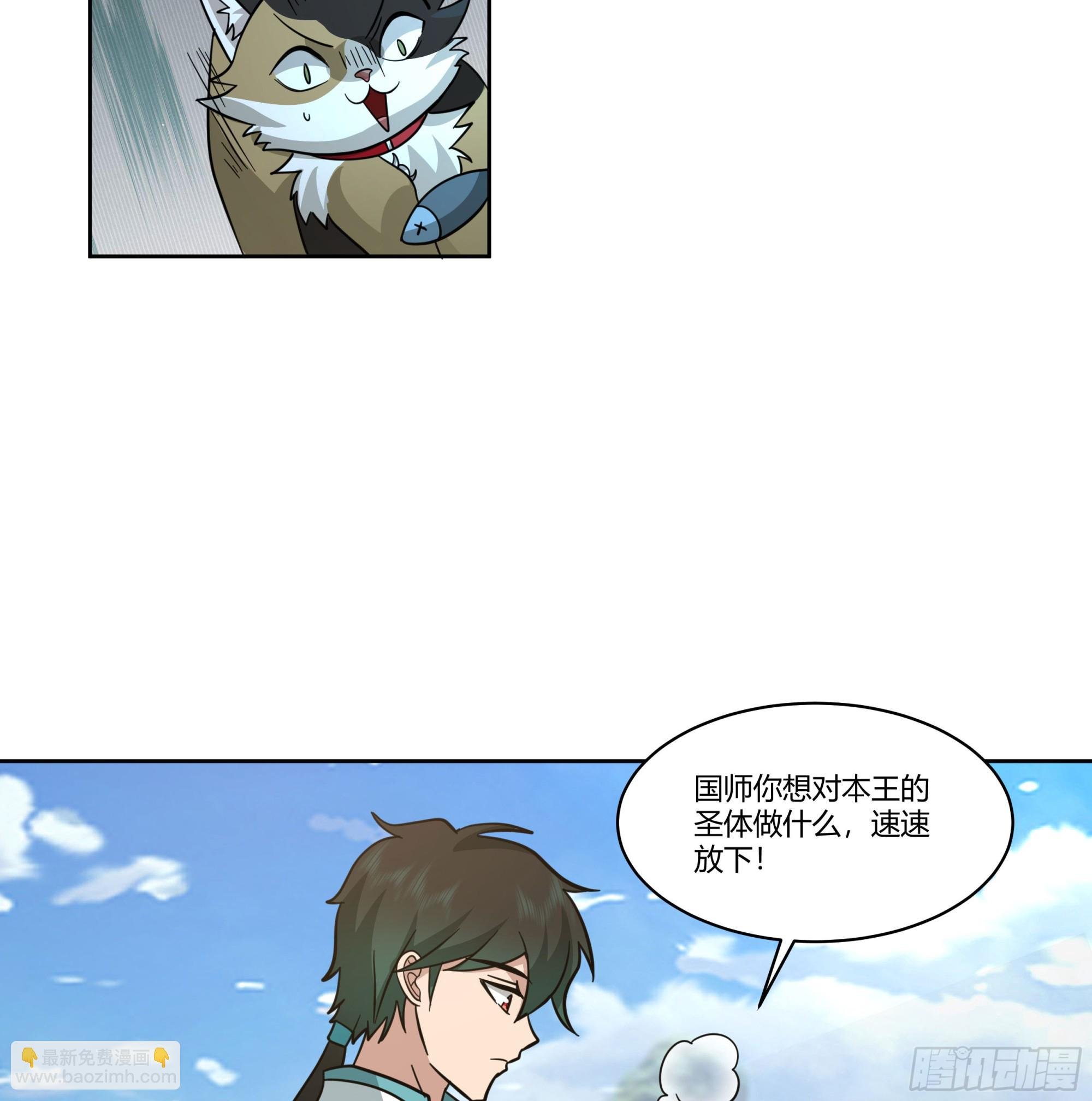小语与三花猫