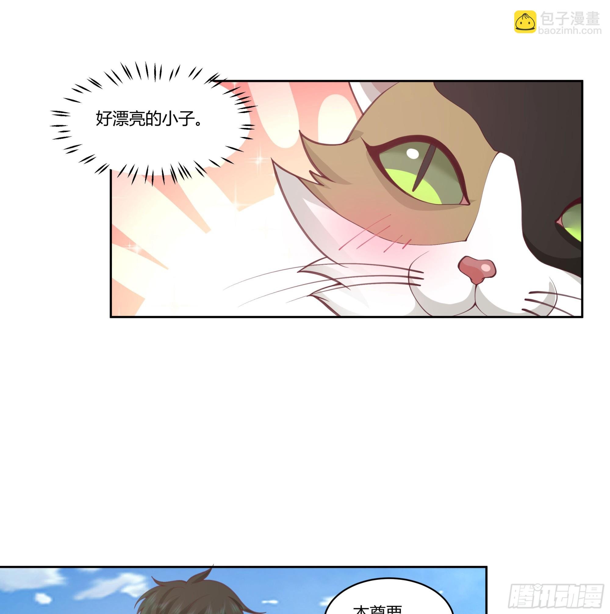 小语与三花猫