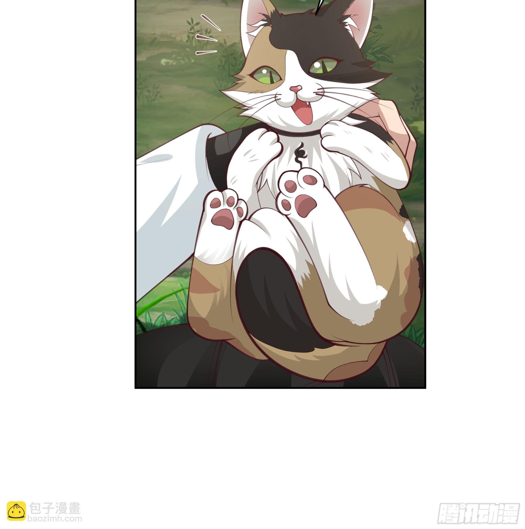 小语与三花猫