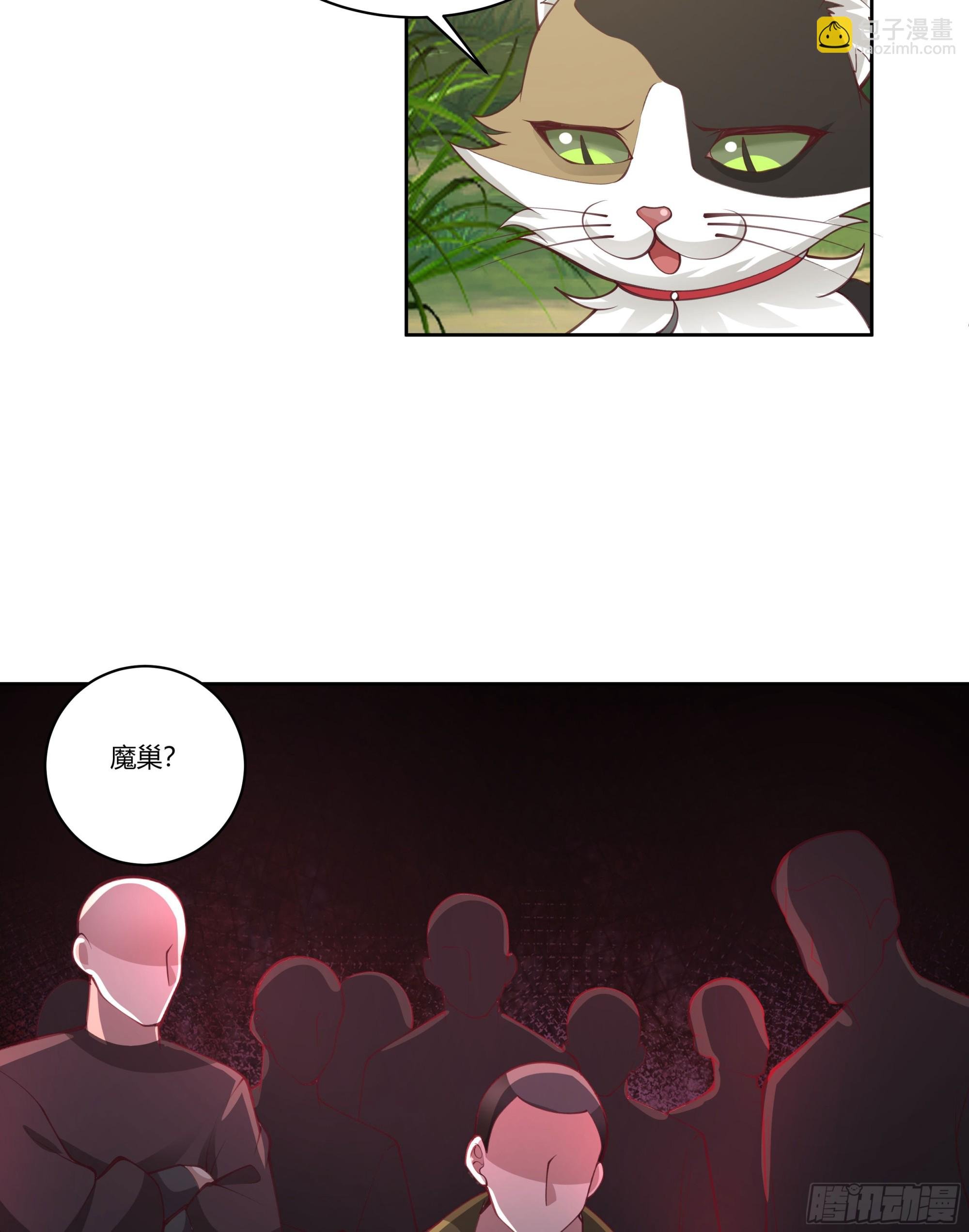 小语与三花猫