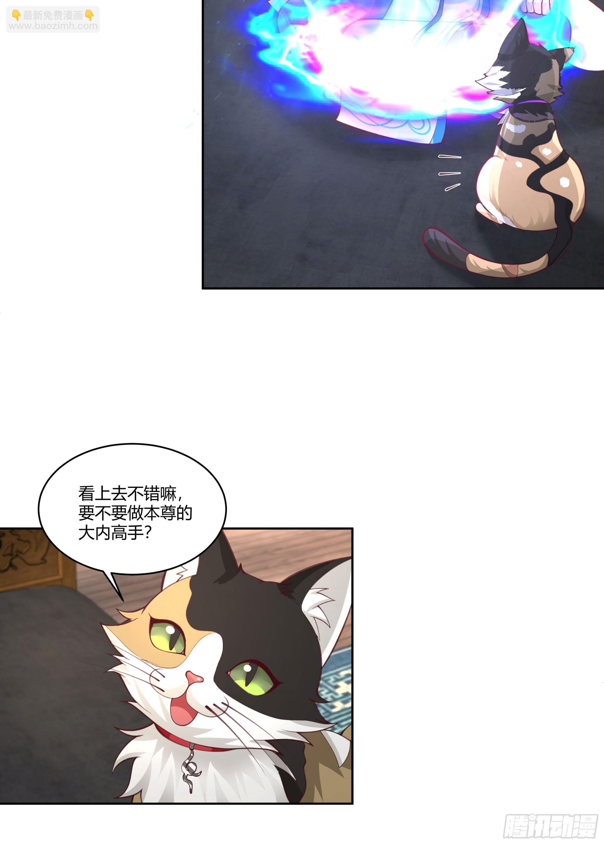 小语与三花猫