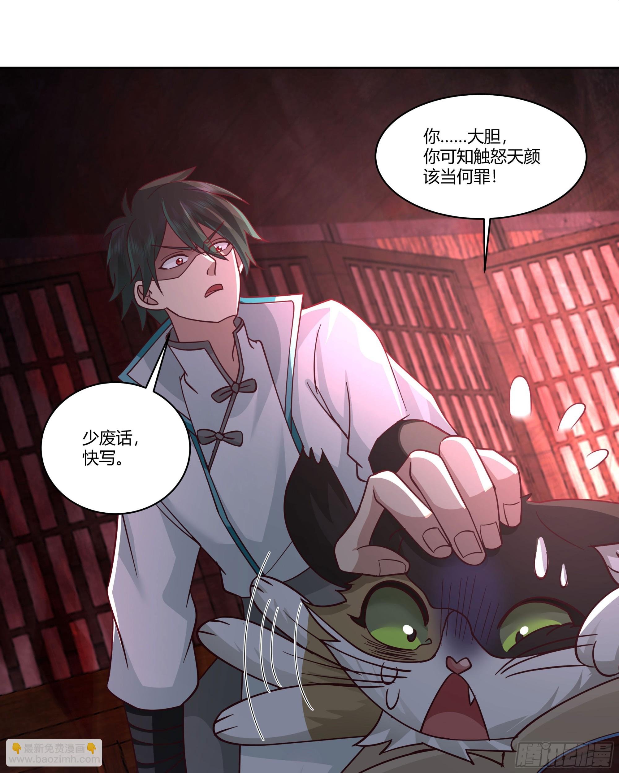 小语与三花猫