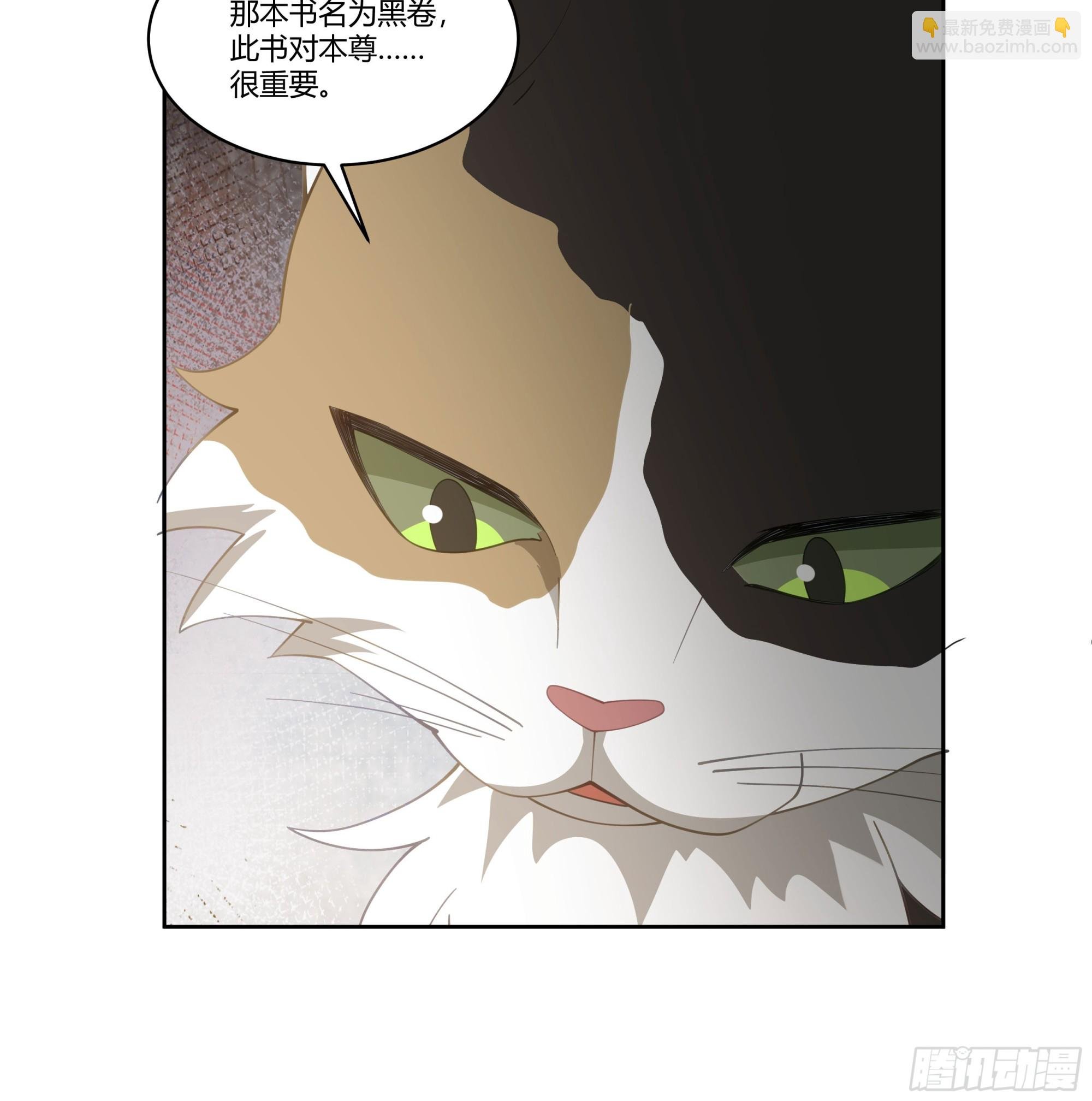 婚书