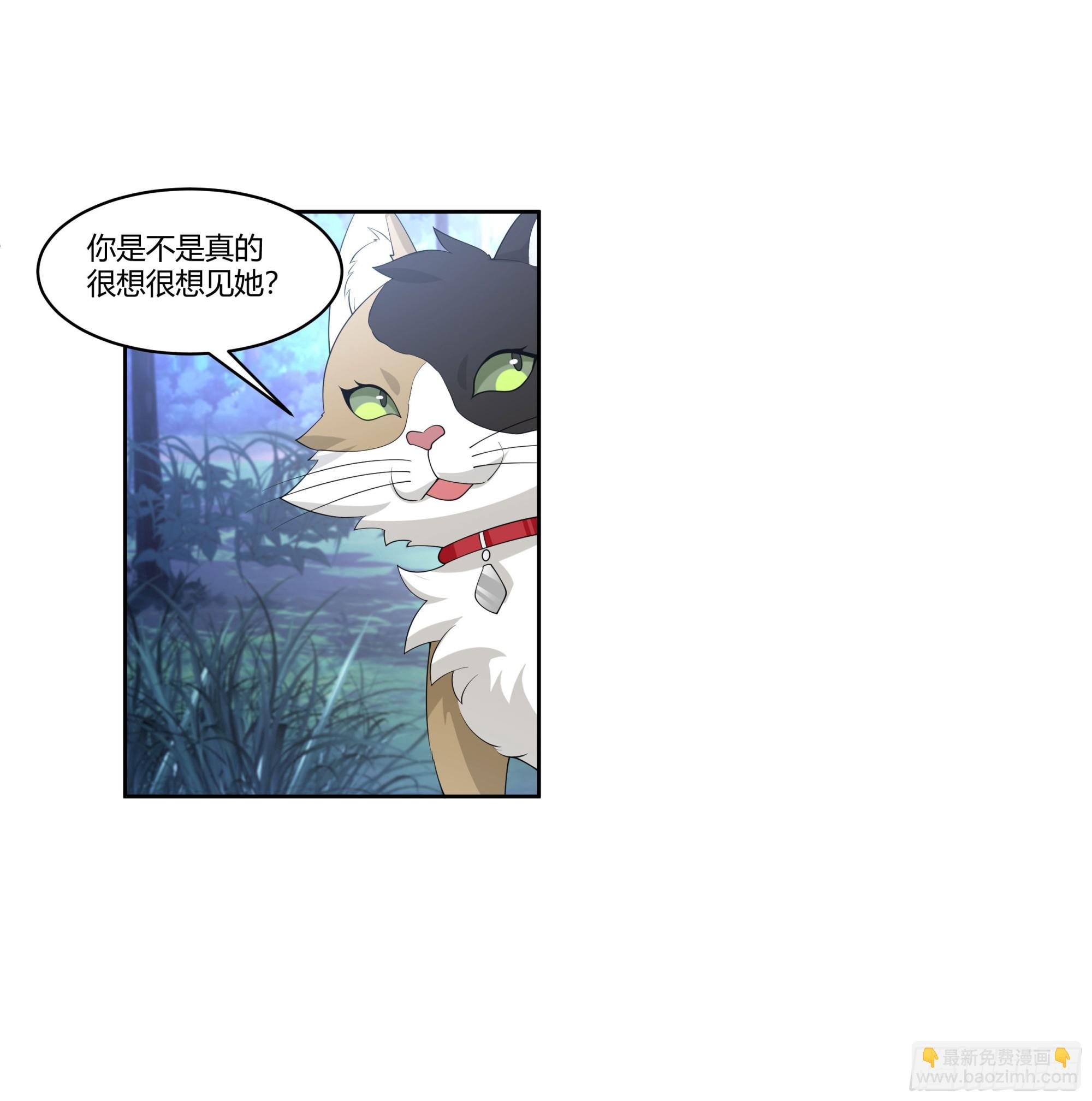 尊主大人