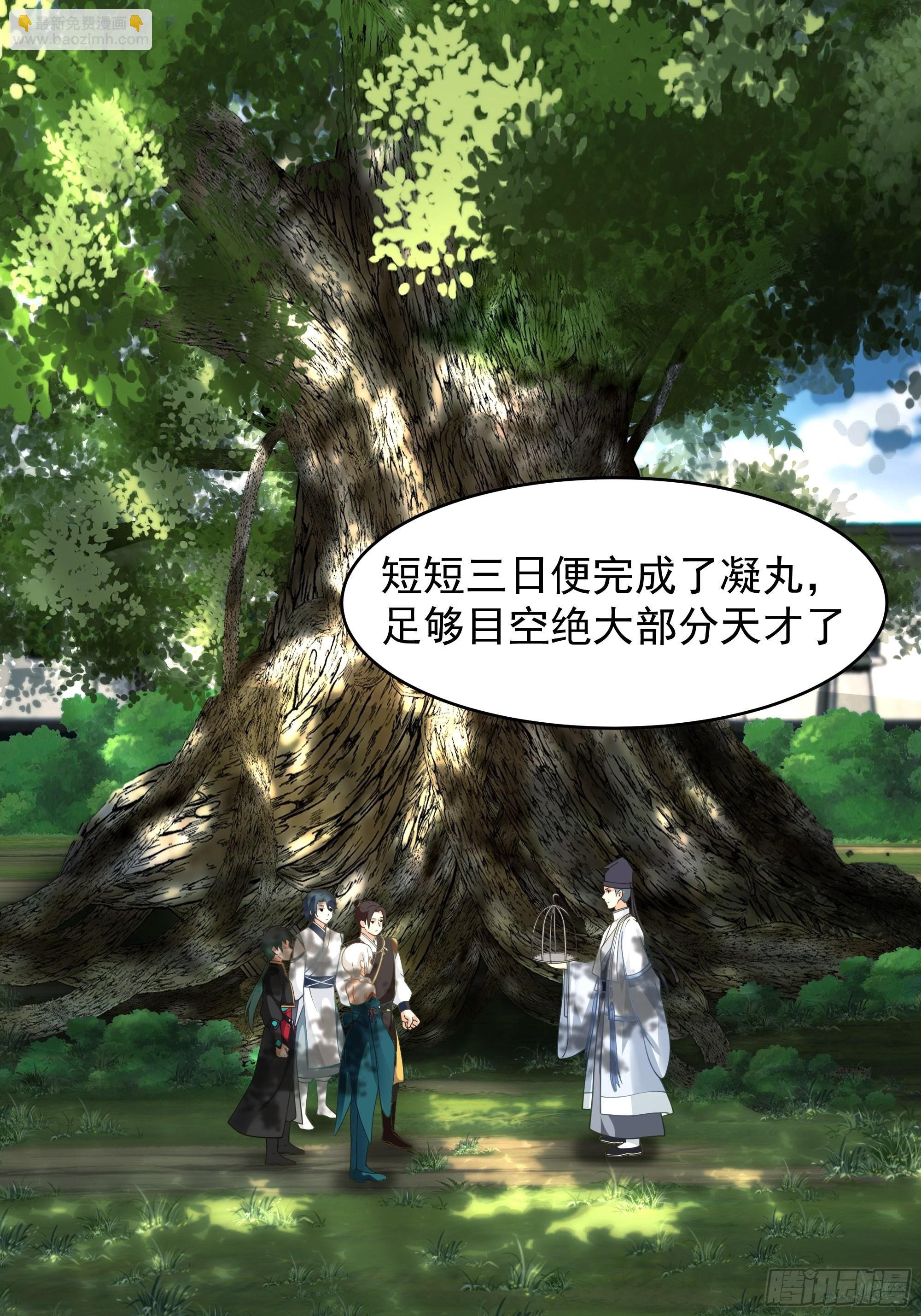 白雀无声
