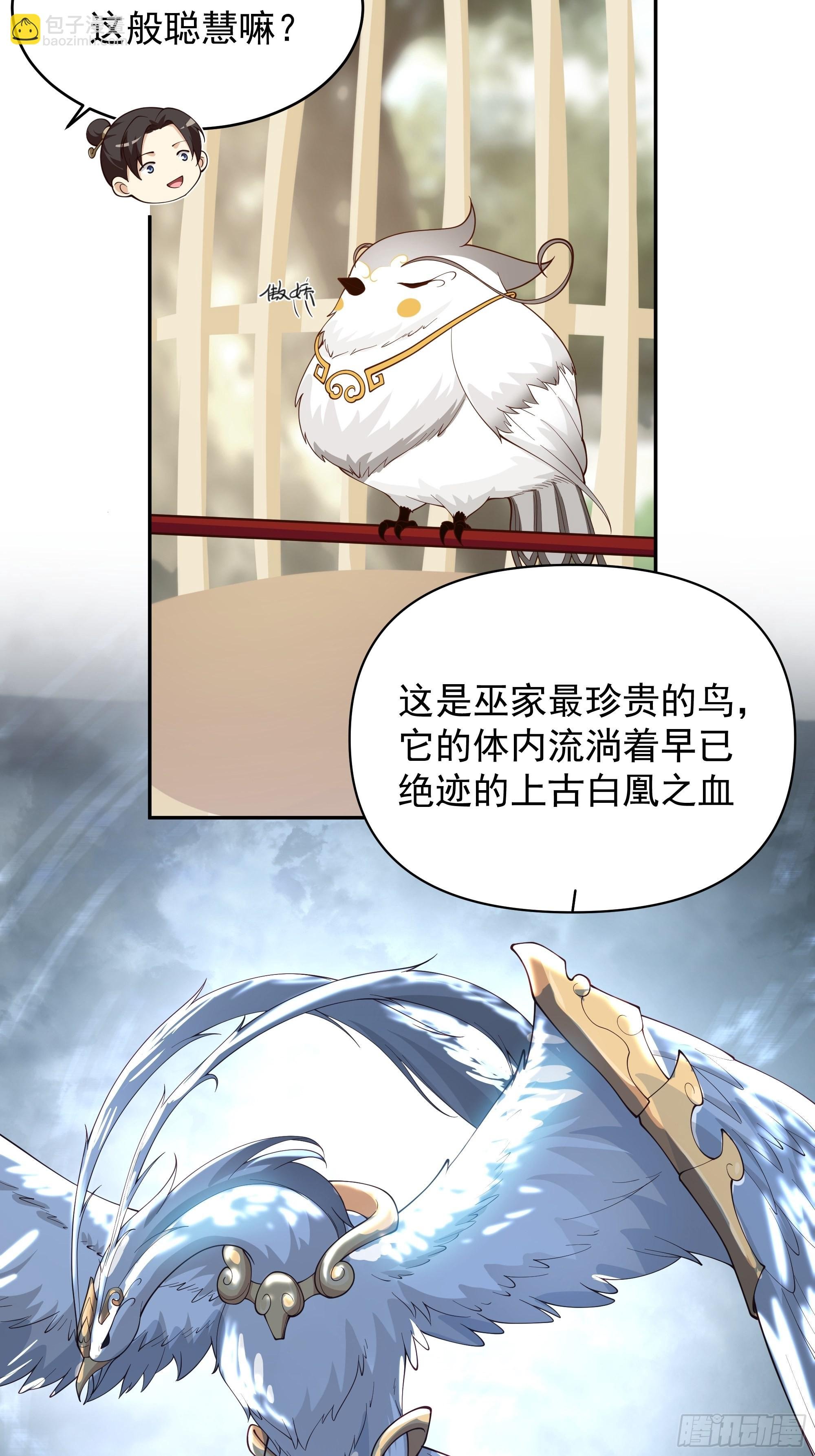 白雀无声