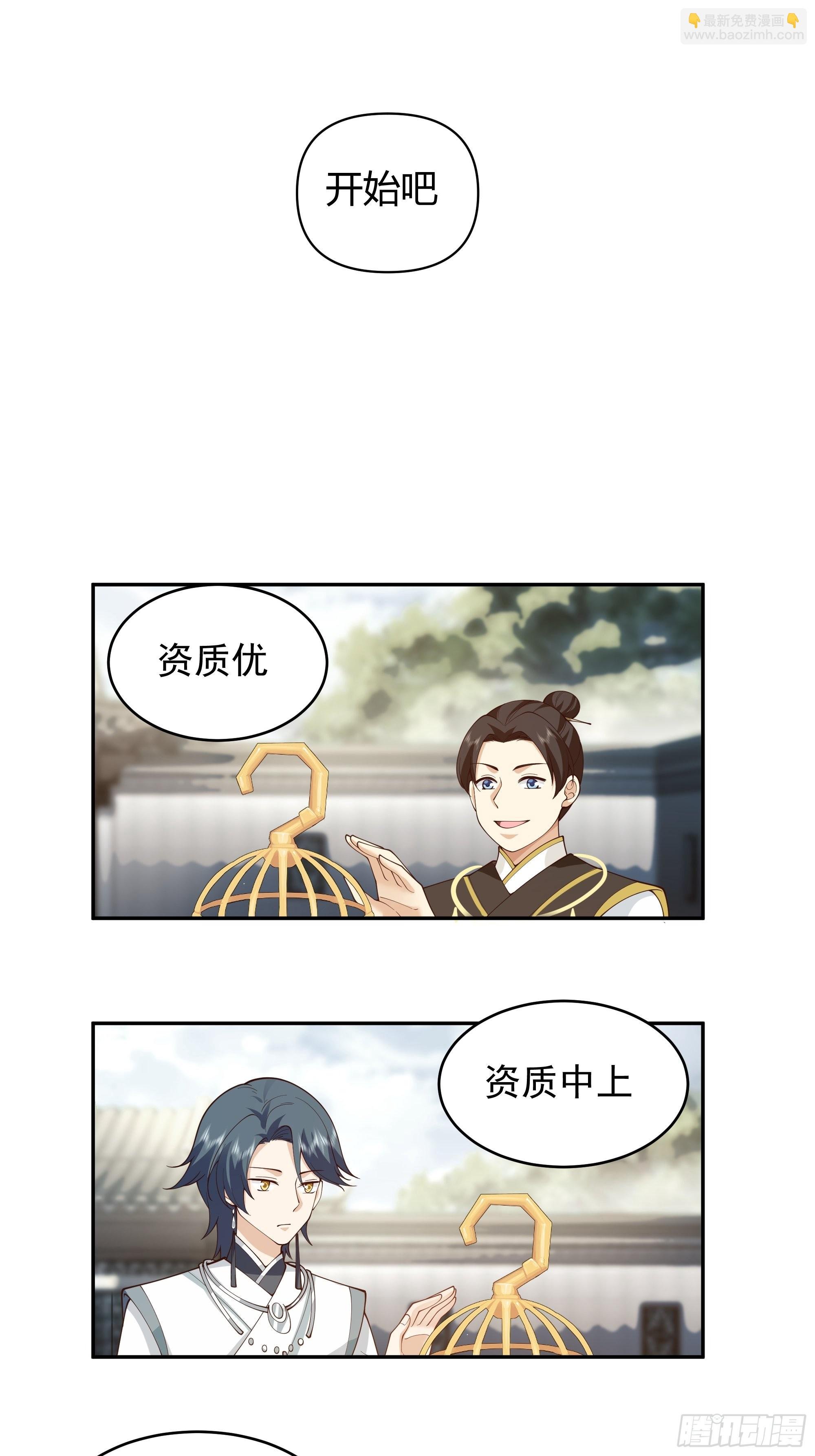 白雀无声