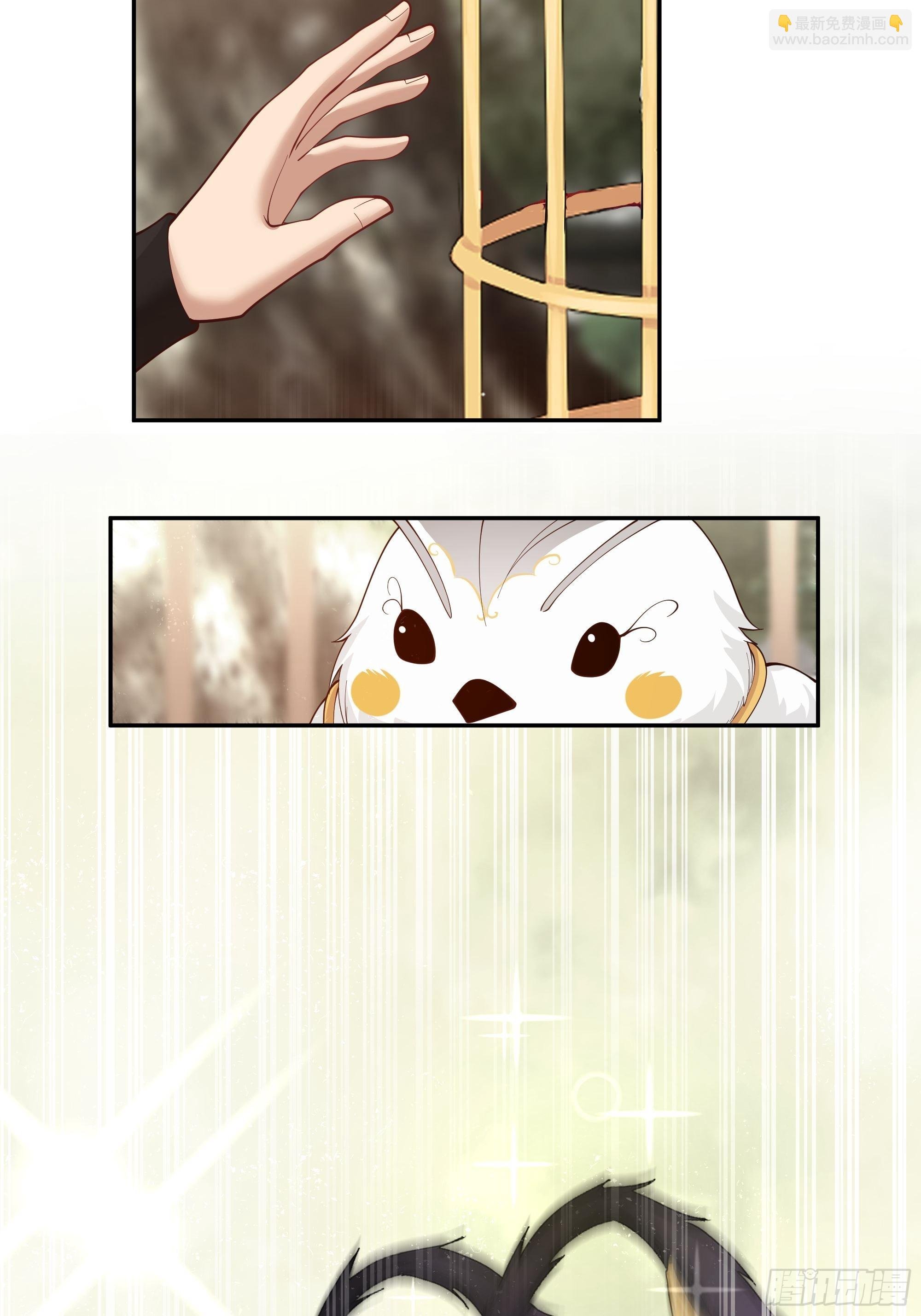 白雀无声