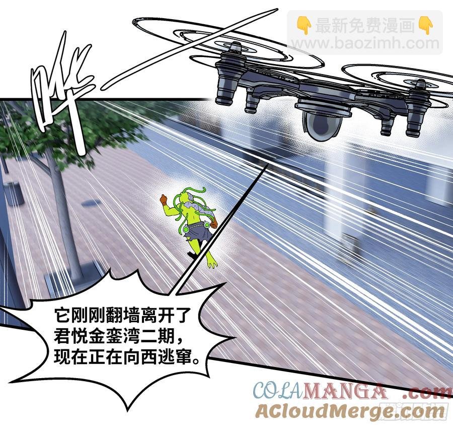 65 进化