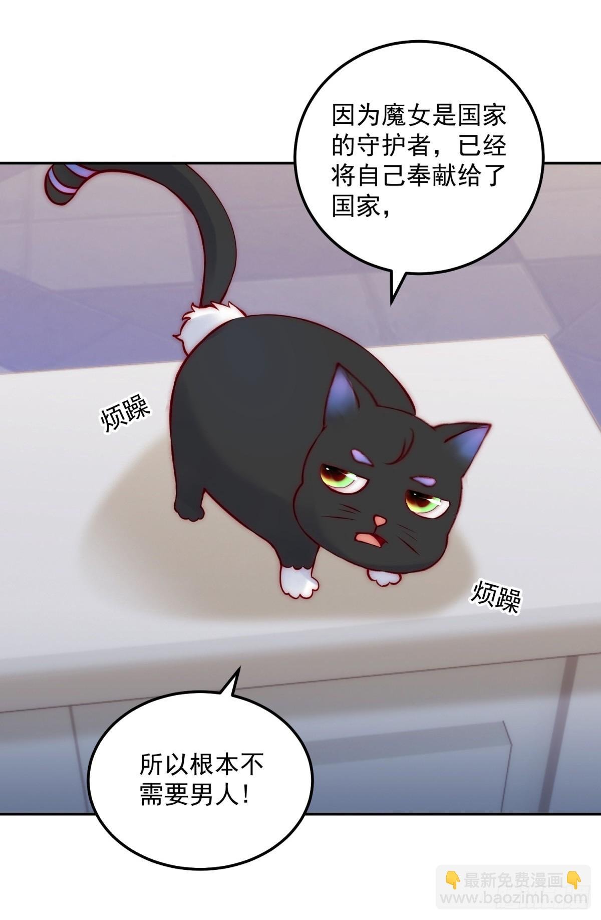 第50话 主动出击