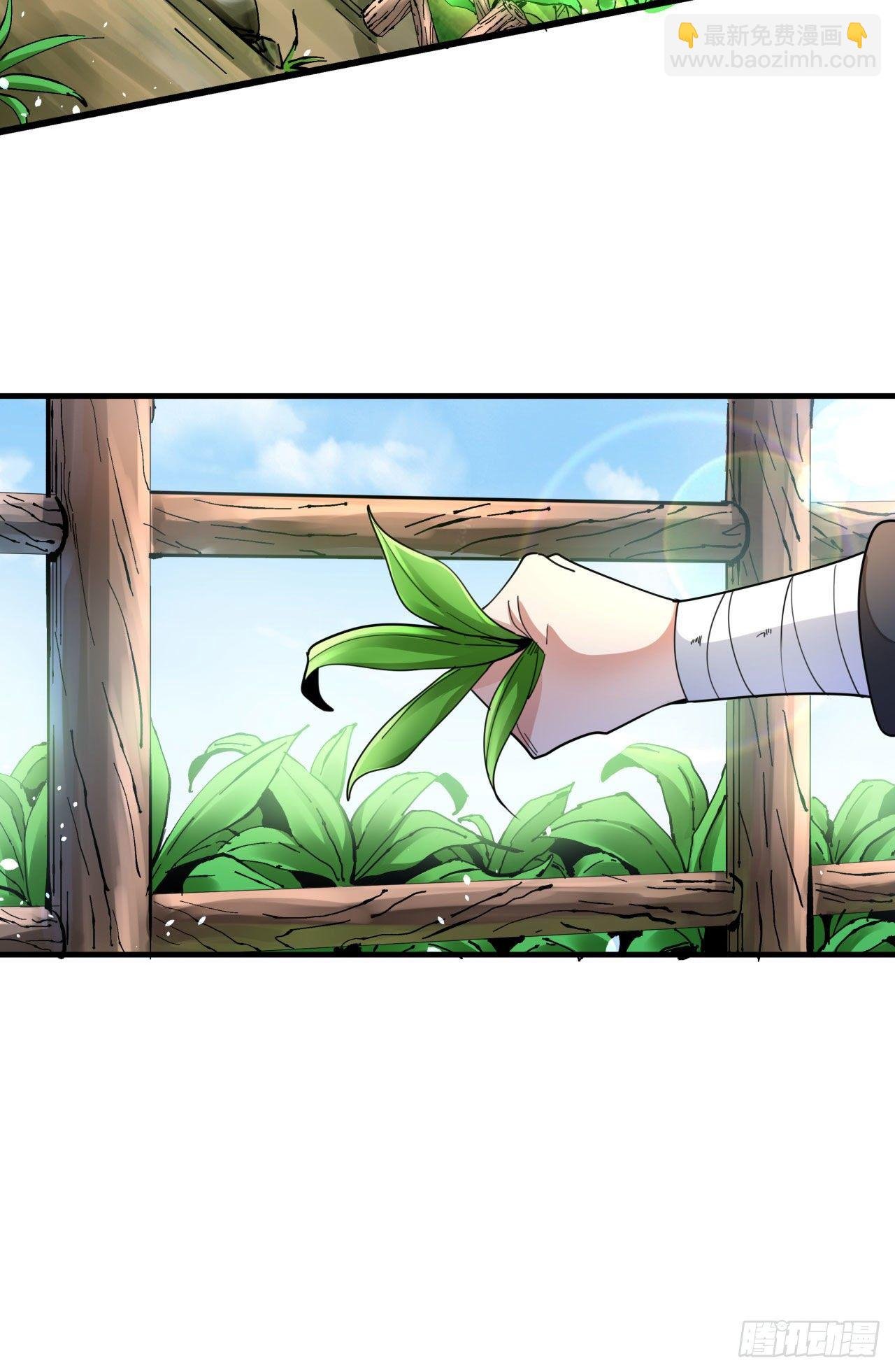 第8话 合欢散