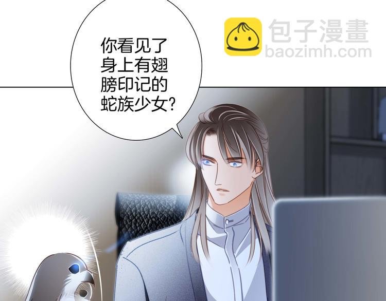 第29话 同伴