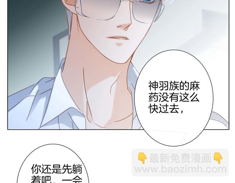 第29话 同伴