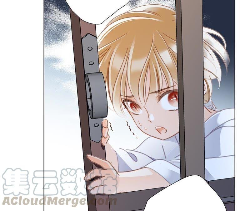 第42话 金翅鸟