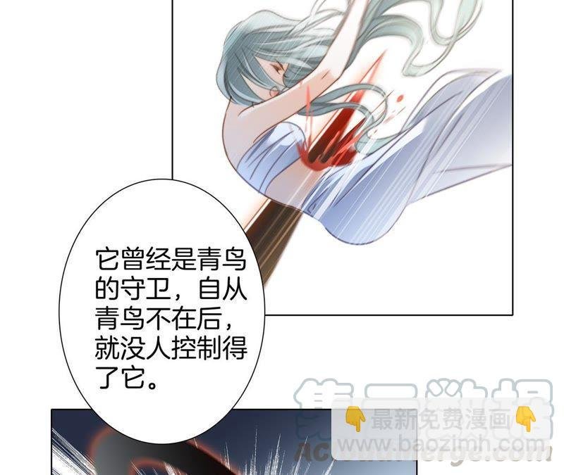第42话 金翅鸟
