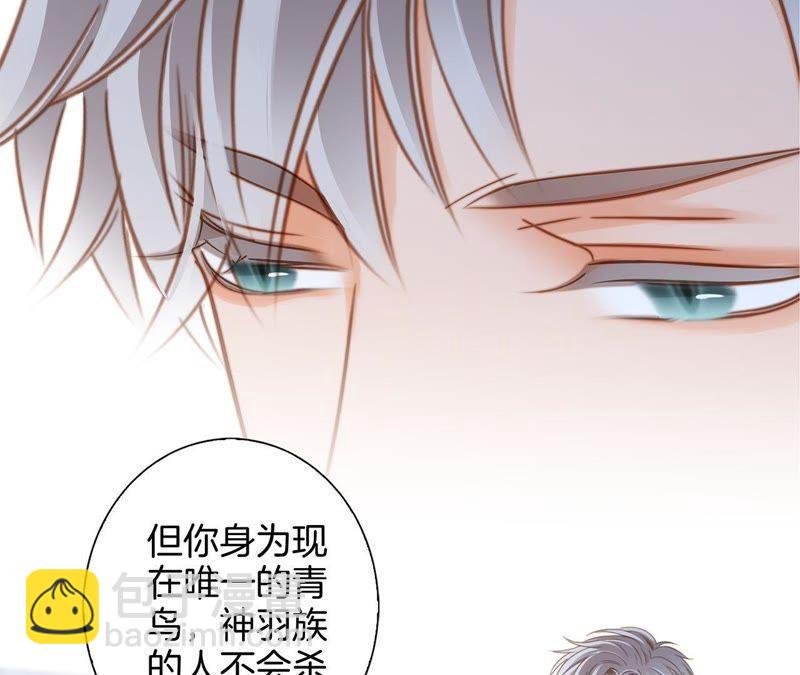 第49话 决心