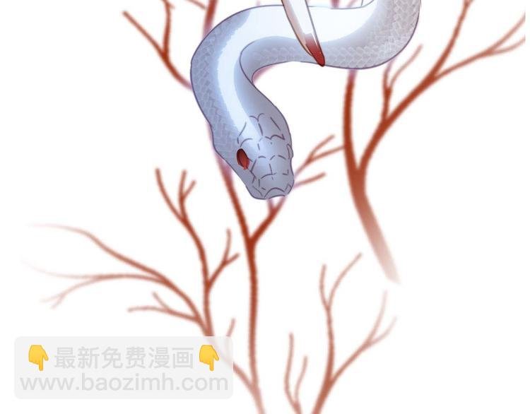 剧情梳理 特别篇