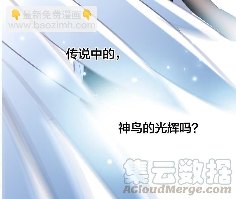 第57话 翅膀