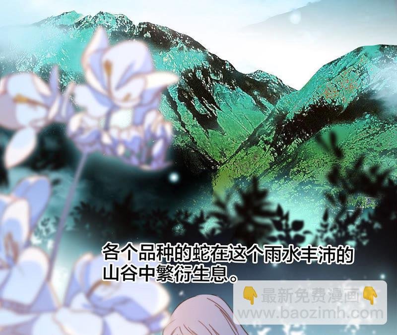 第62话 冥界之花