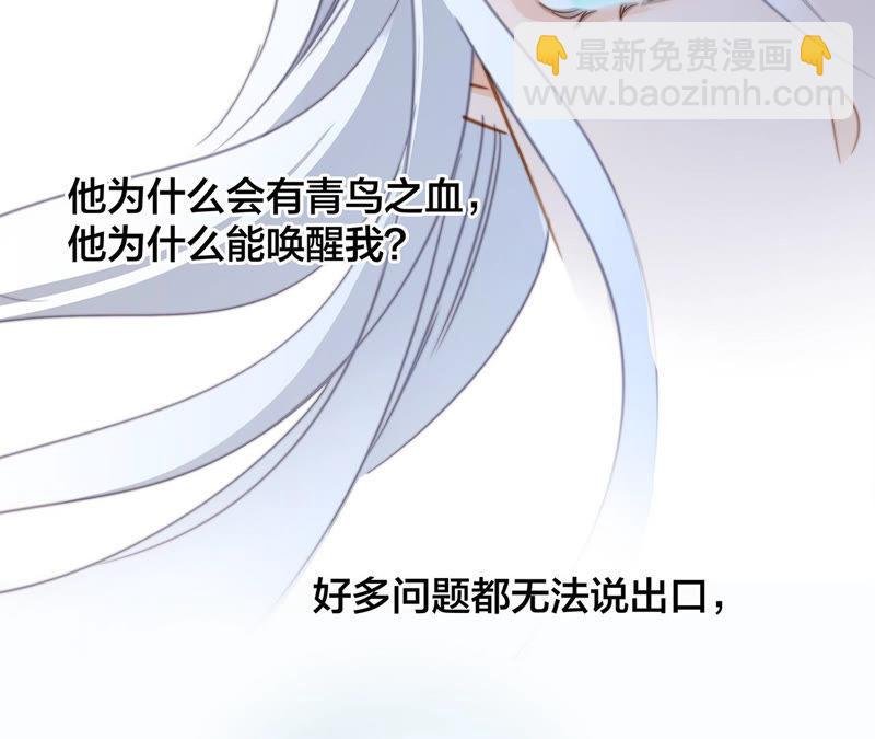 第66话 追踪