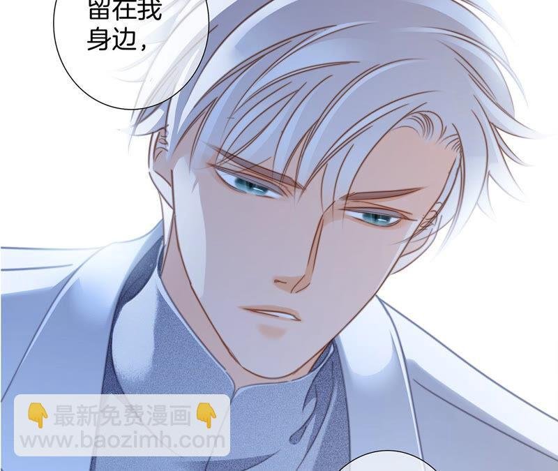 第77话 放归
