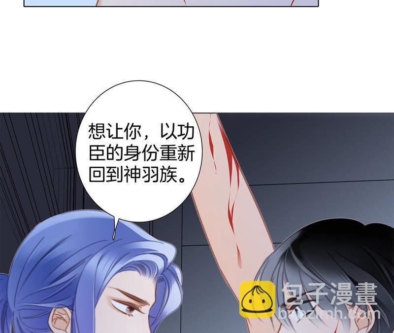 第77话 放归