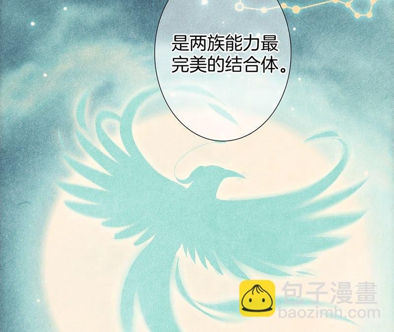 第78话 目标
