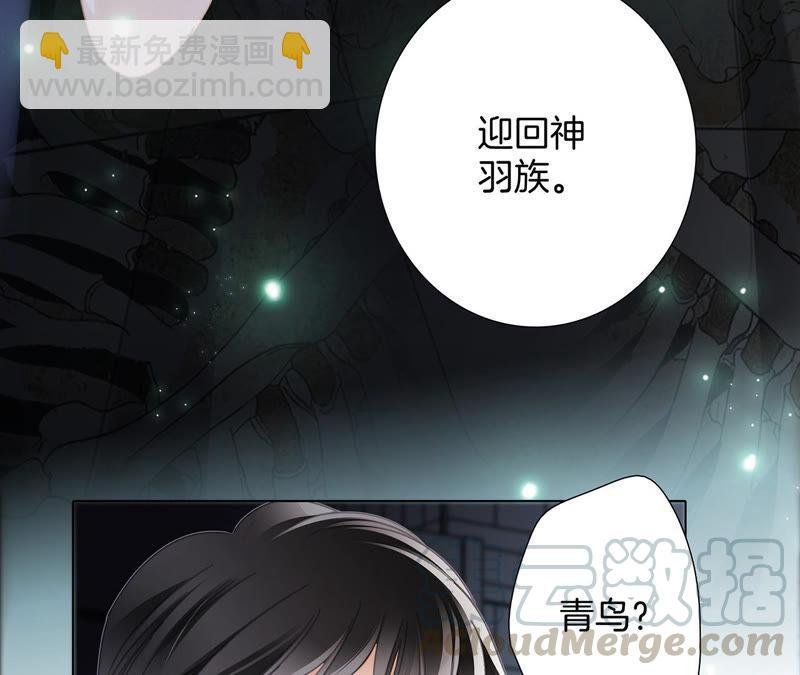 第80话 回归