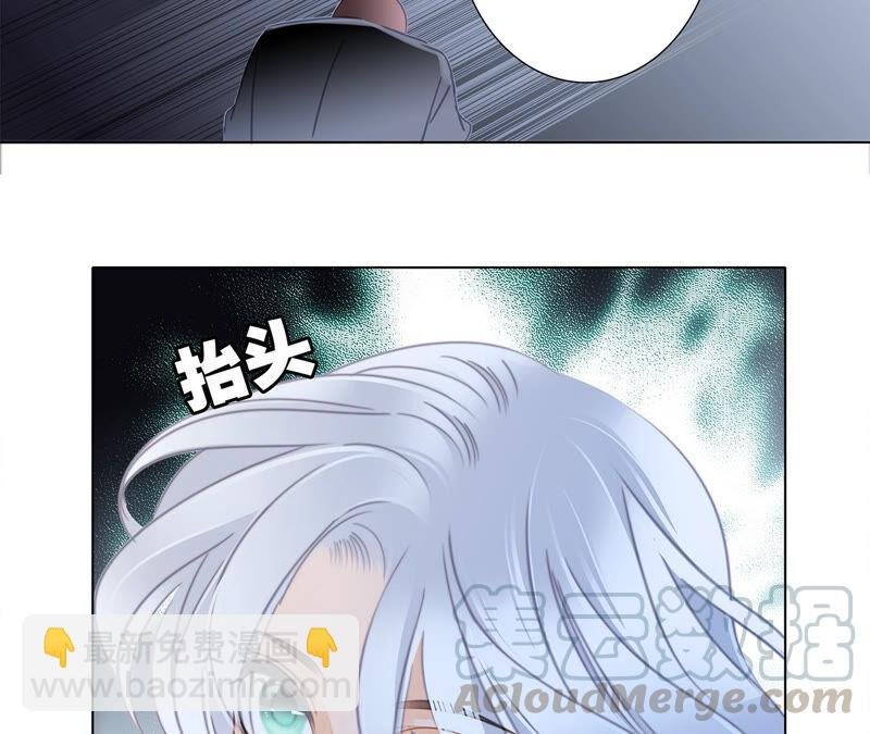 第80话 回归