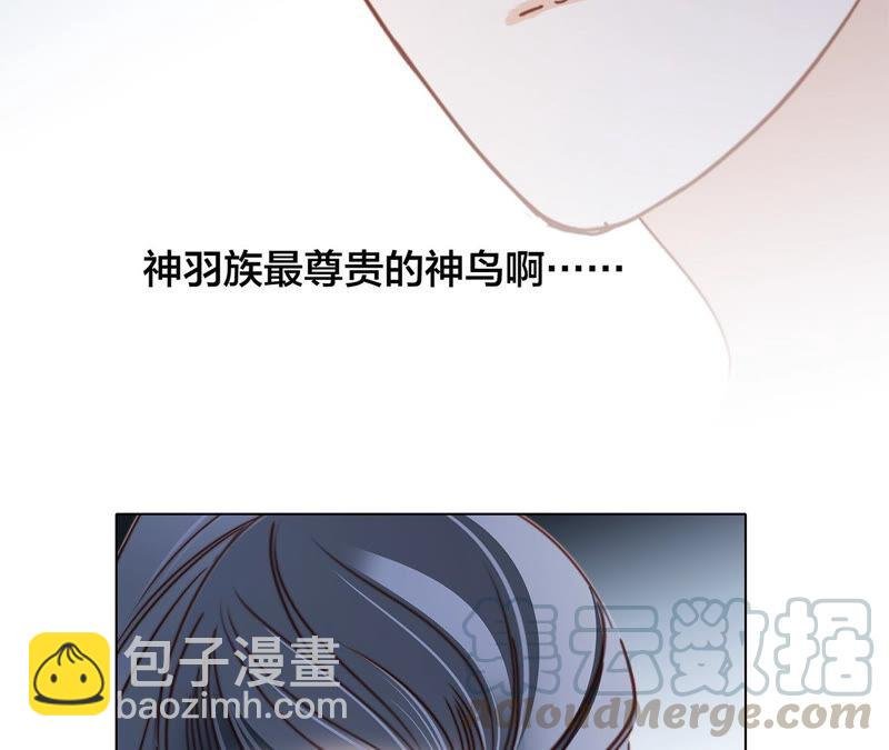 第83话 群鸟