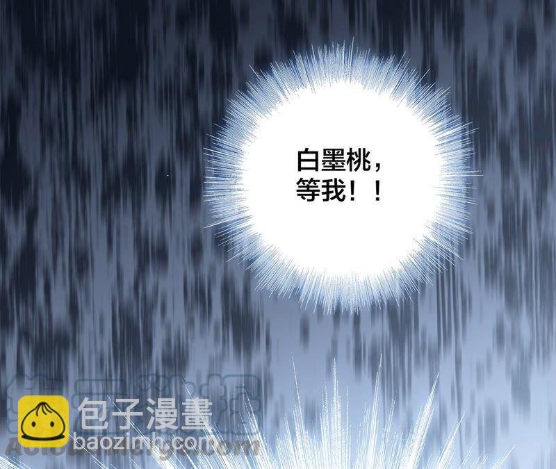 第88话 傀儡