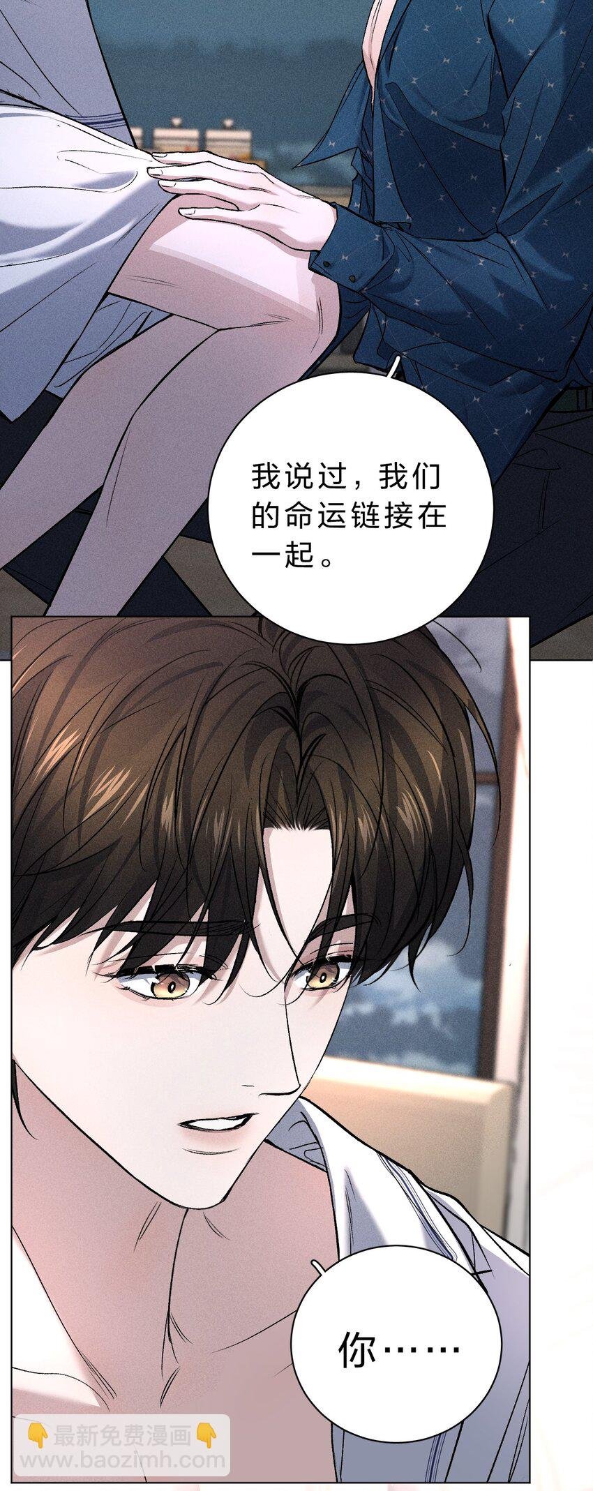 006 我亲爱的……宠物