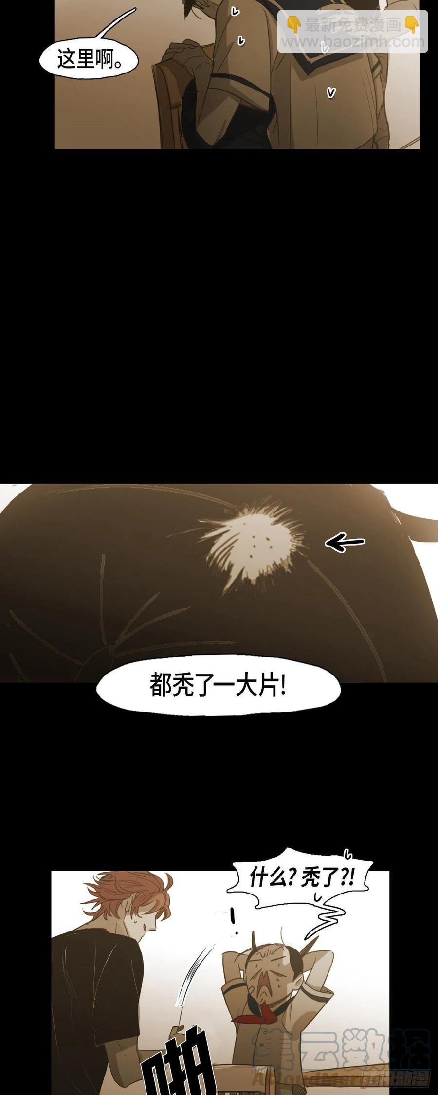 67.想分担你的痛苦