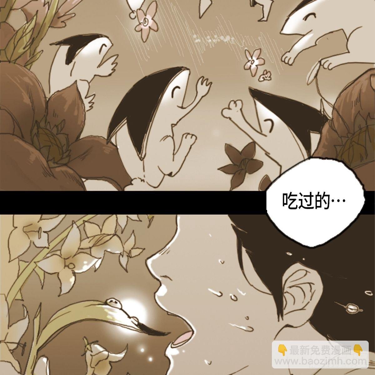 06.兔子形状苹果