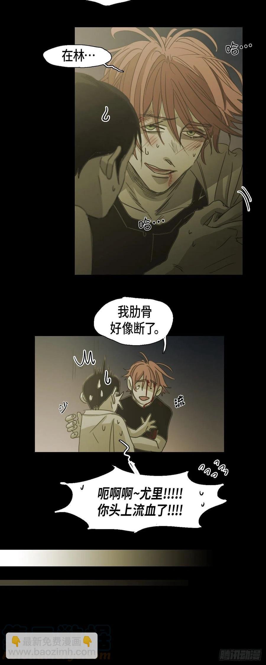 81.我不再畏惧