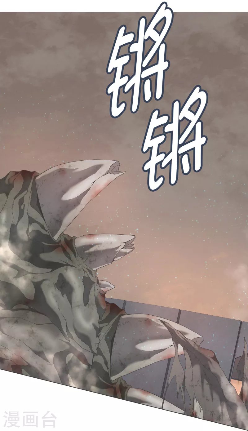 第124话 全力进攻