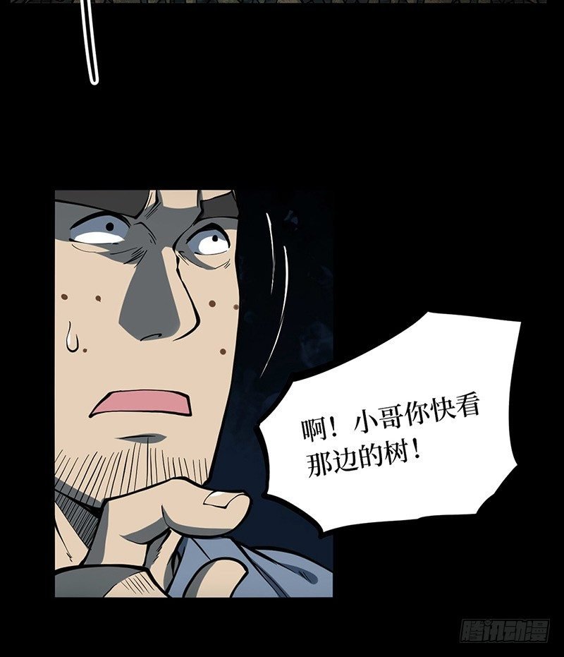 第二卷 人头青（5）