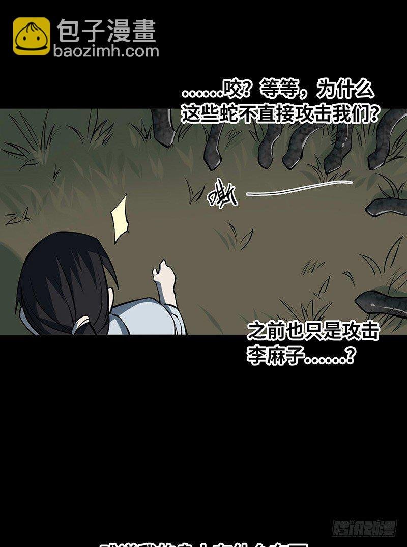 第二卷 人头青（5）