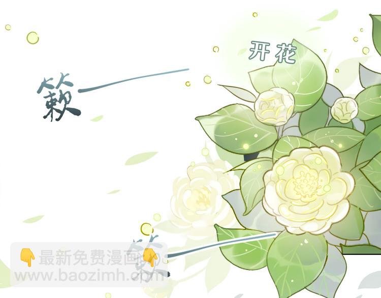15.荀师弟，你真是引起了我的