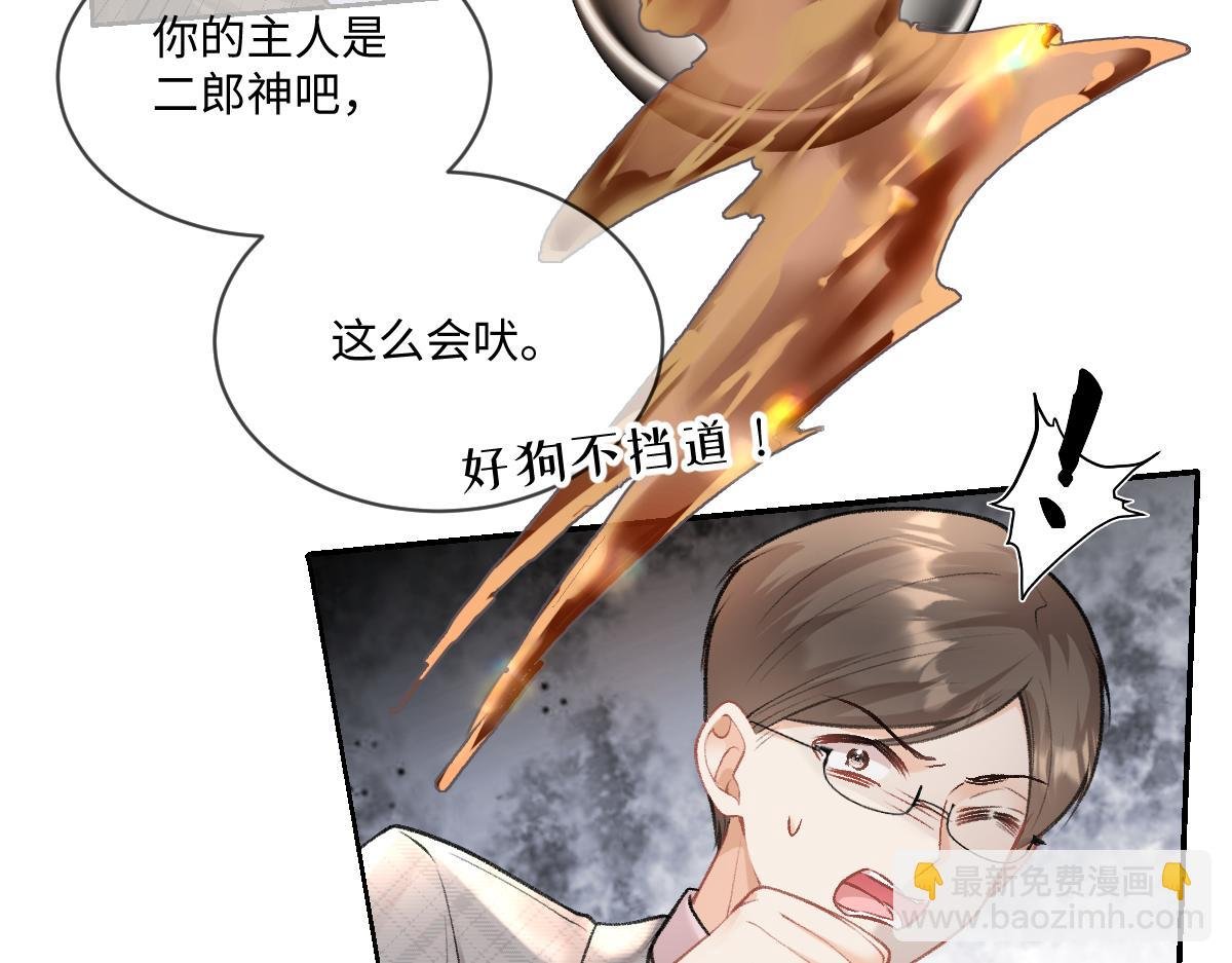 第5话 不要看，妖精打架