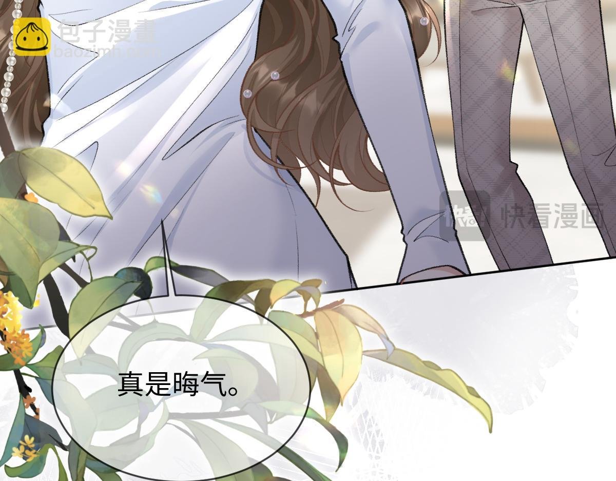 第5话 不要看，妖精打架