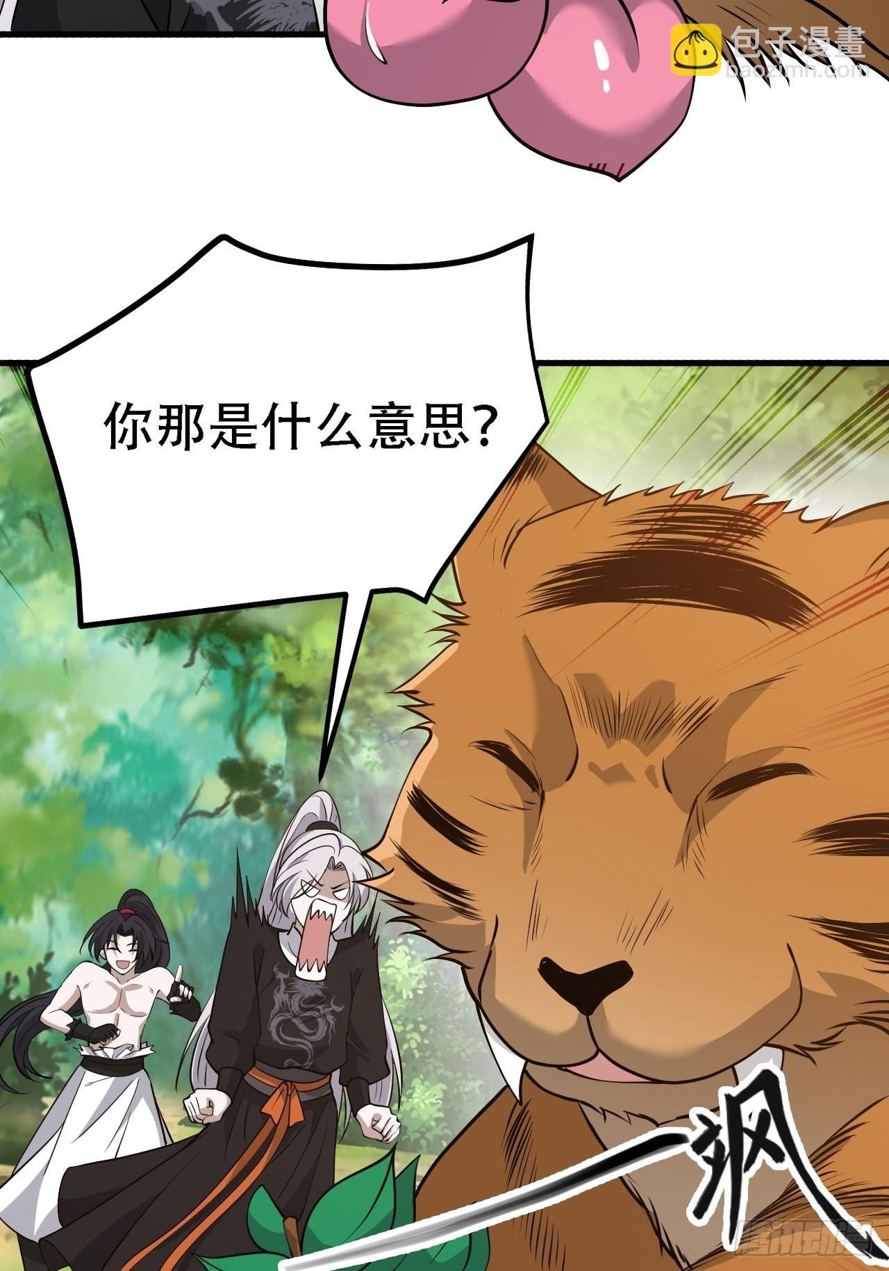 第二十八话：猫咪与机缘
