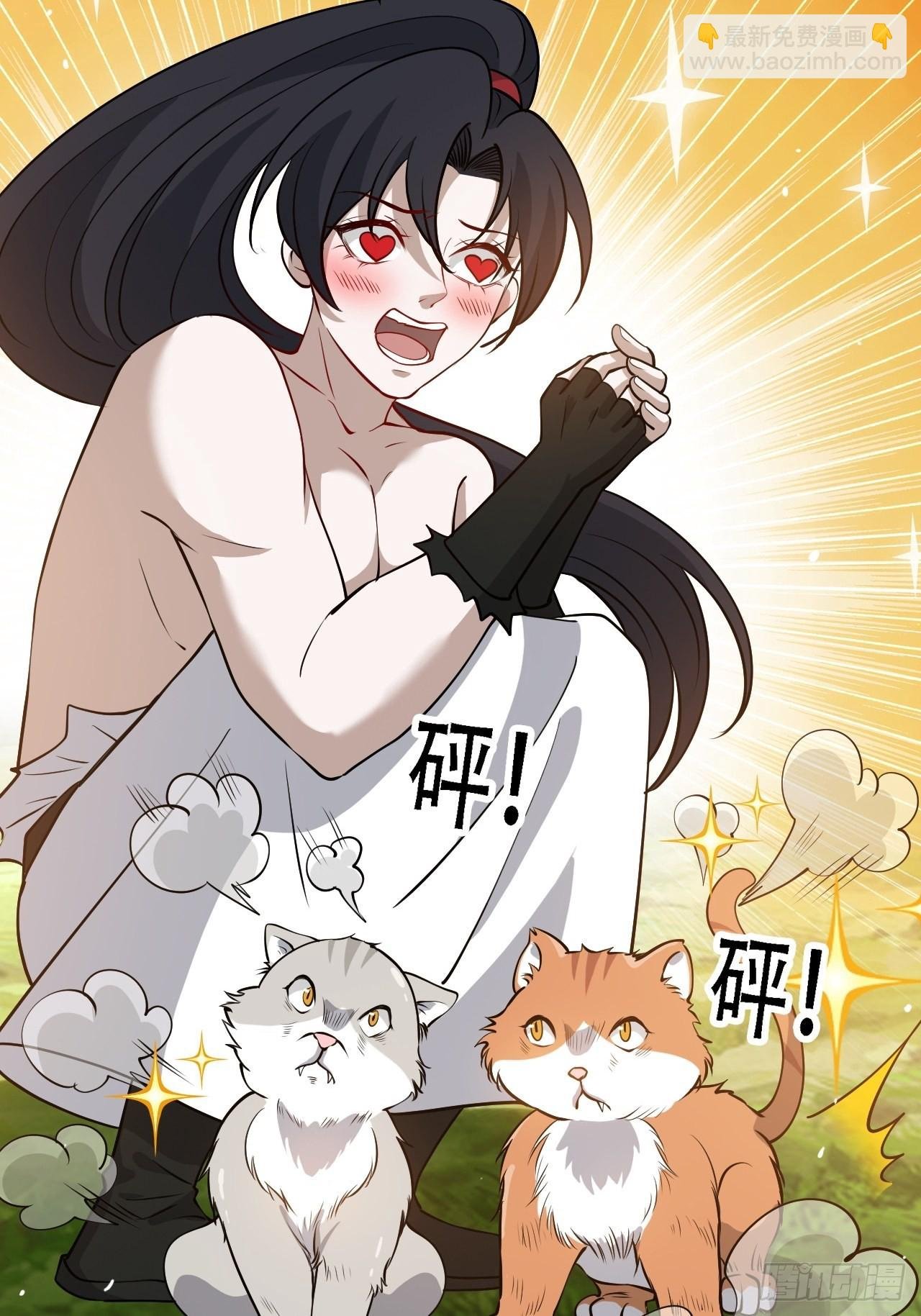 第二十八话：猫咪与机缘