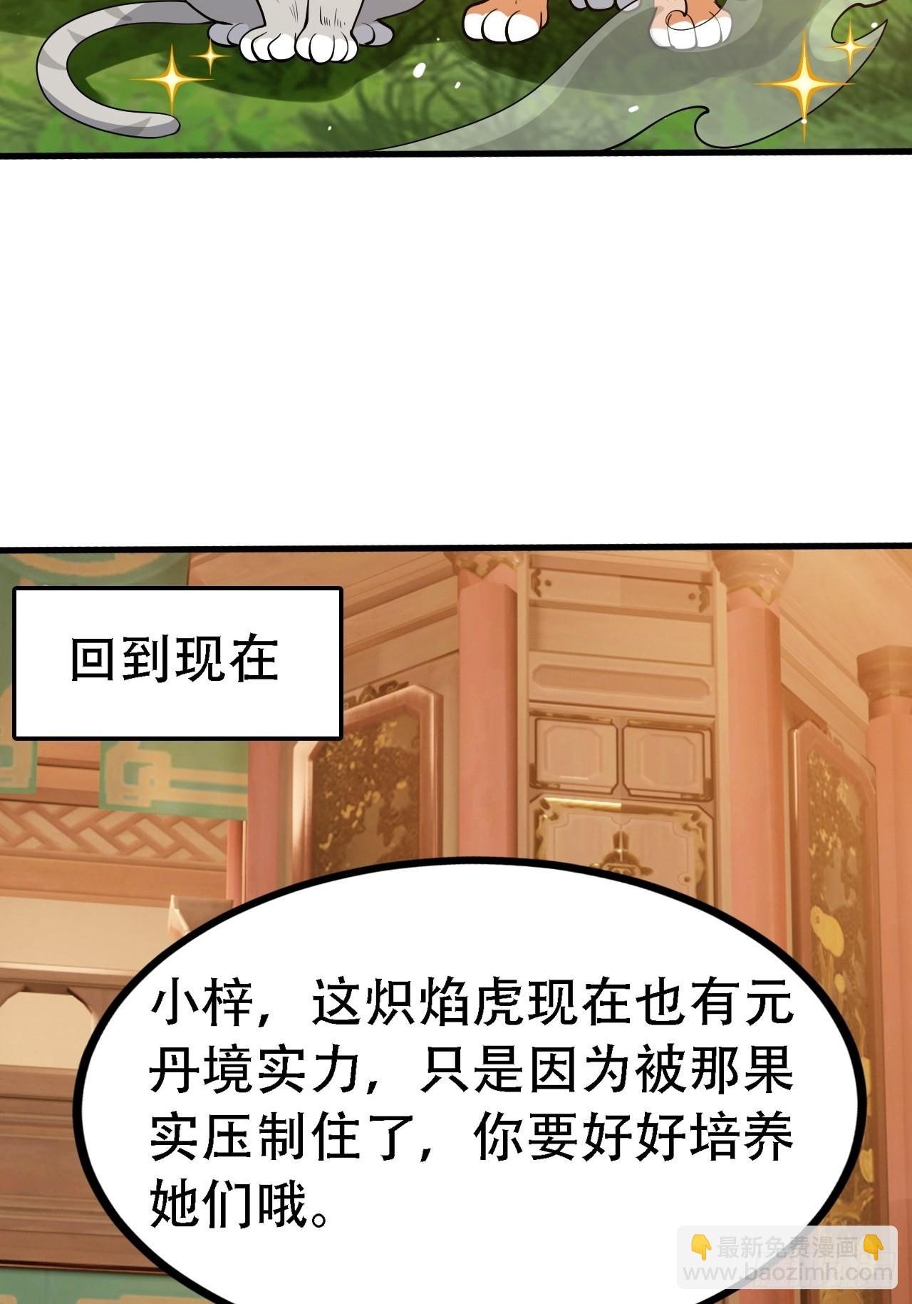 第二十八话：猫咪与机缘