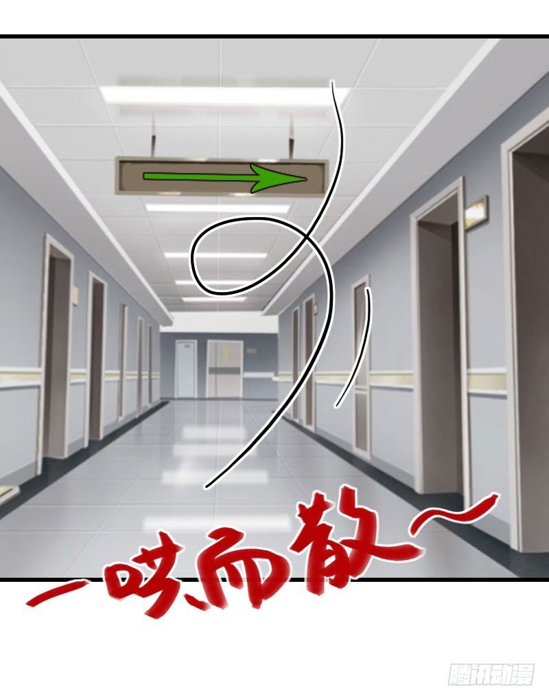 第72话 我的地盘
