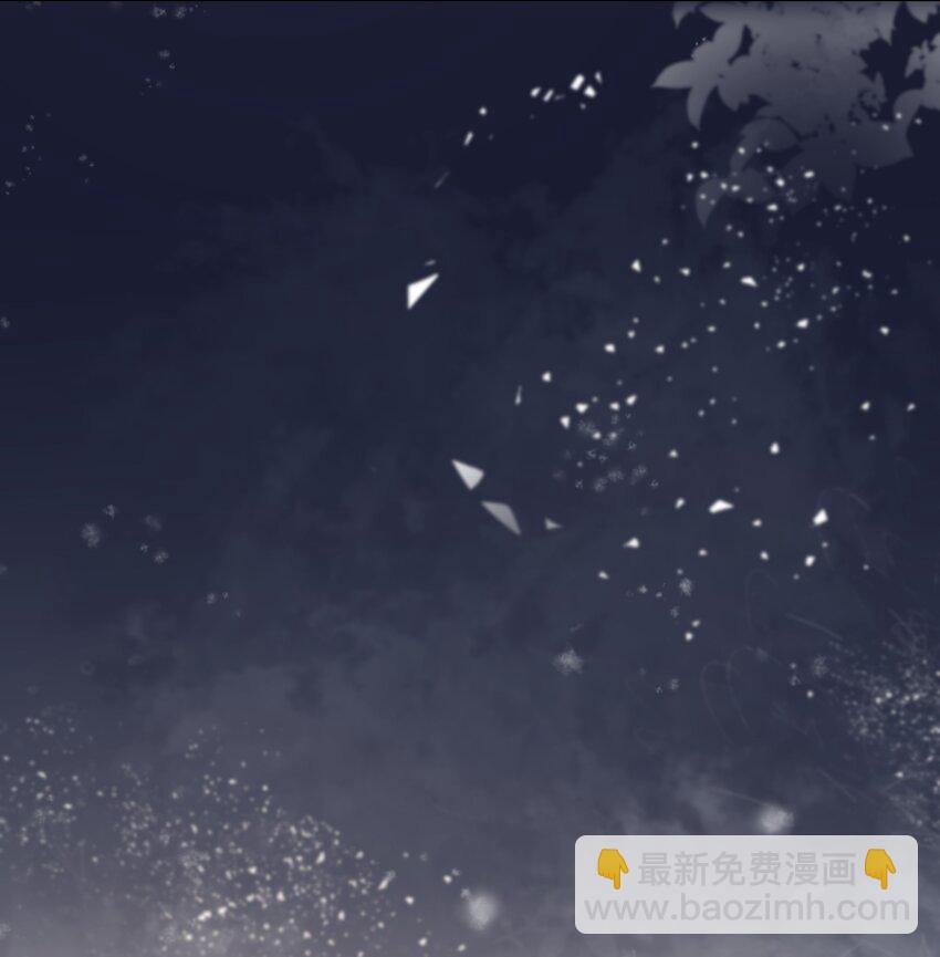 013 最柔软的触碰