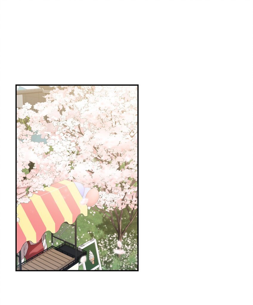 27 樱花下的约会