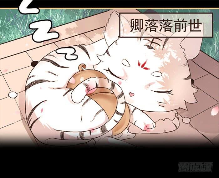 预告君~