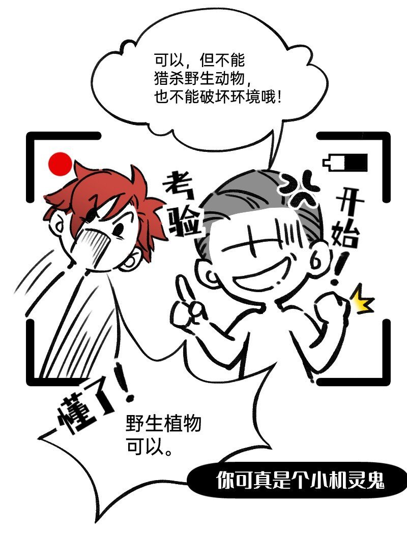 49 一点端倪