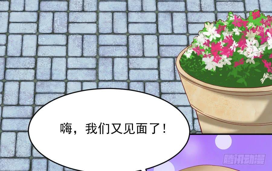 女人的阴谋